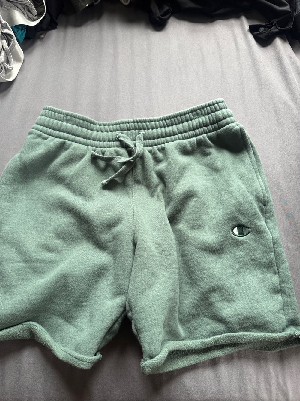 Champion Sage Green Fleece Shorts with Drawstring